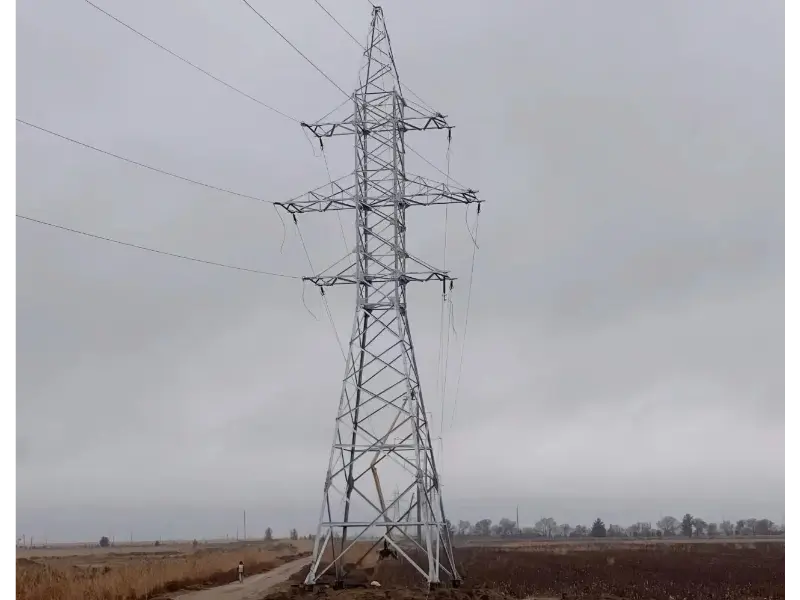 Mao Tong'un Müşteri Geri Bildirimi